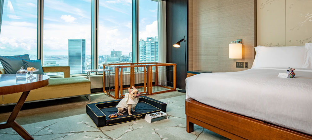 待望のドッグフレンドリー宿泊プラン「Paws of Luxury(パウズ オブ ラグジュアリー)」~大切な家族と一緒にとびきり贅沢なひとときを~
